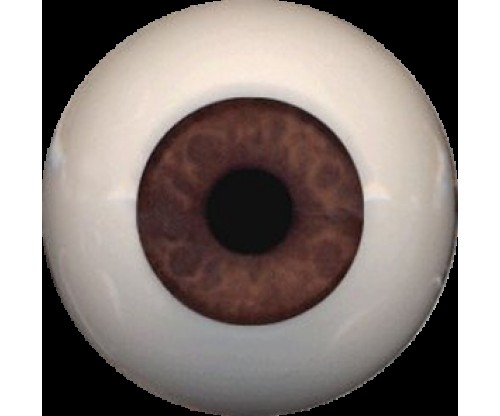 Eyeco PolyGlass Eyes - 24mm A033