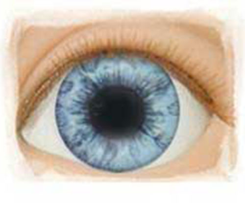 Real Eyes 22mm Light Blue