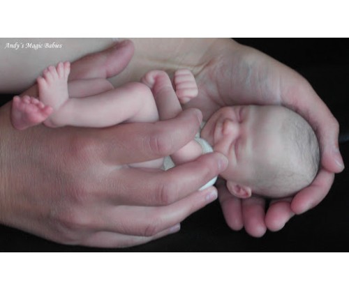 elizabeth reborn supplies