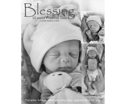 Reborn doll, Lifelike baby doll, Reborn doll for sale, Blessings by marita  winters - seji reborns