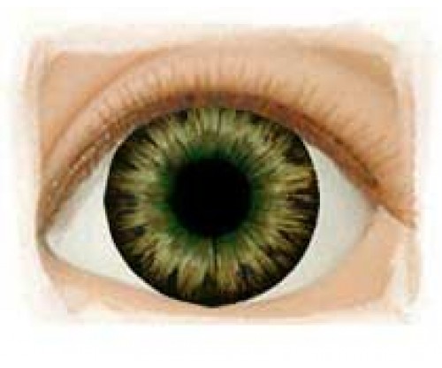 Real Eyes 16mm Dark Brown Green