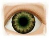 Real Eyes 24mm Dark Brown Green